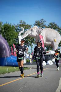 BIB: 
                            <button type="button" onclick="openModal(26543281)" class="btn btn-primary btn-sm float-right btn-popup" data-toggle="modal" data-target=".modal-high-quality">
                        <i class="fas fa-shopping-cart"></i> Add to Cart
                    </button>
                                            <button type="button" onclick="isThisMe(26543281, true)" class="btn btn-success btn-sm float-right btn-popup btn-isme hidden" data-toggle="tooltip" data-placement="bottom" title="นี่คือรูปของคุณใช่ไหม คลิกที่นี่เพื่อเอาเข้าอัลบั้ม">
                        <i class="fas fa-plus"></i> Add to album
                    </button>
                    <button type="button" onclick="isThisMe(26543281, false)" class="btn btn-warning btn-sm float-right btn-popup btn-isnotme hidden">
                        <i class="fas fa-ban"></i> Remove from album
                    </button>